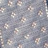 Ethereal Light Blue Saree